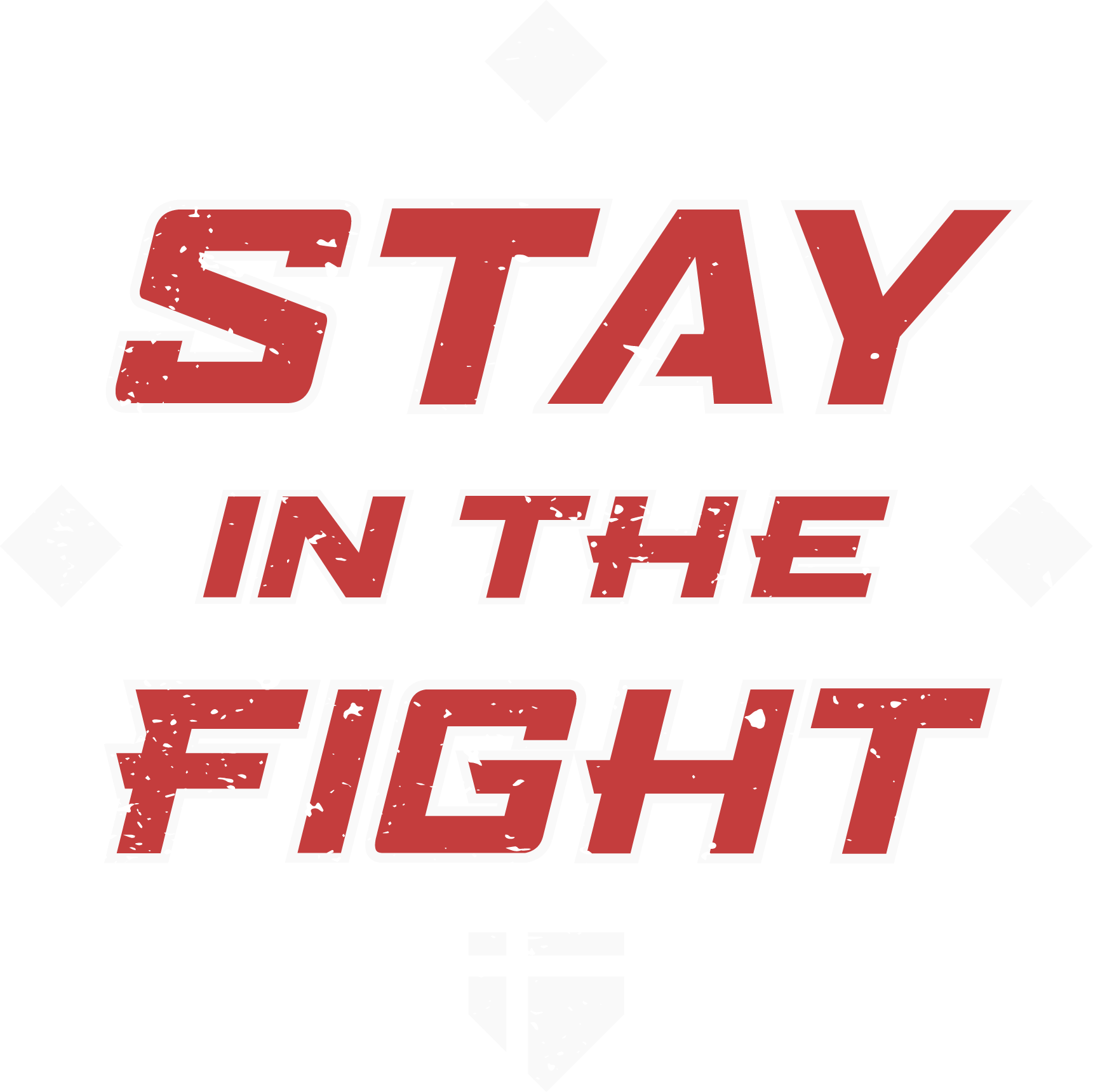 PRO5 - Stay in the Fight Graphic